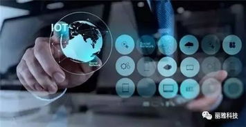 中國(guó)新創(chuàng)富風(fēng)口正當(dāng)時(shí) 移動(dòng)互聯(lián)網(wǎng)服務(wù)與工業(yè)互聯(lián)網(wǎng)數(shù)據(jù)服務(wù)的機(jī)遇